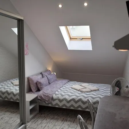 Mansard Apartment Lviv